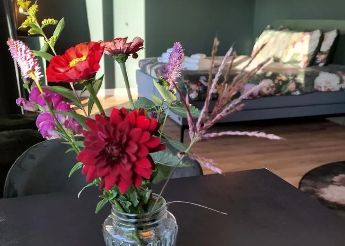 Panzió 't Voske Zundert