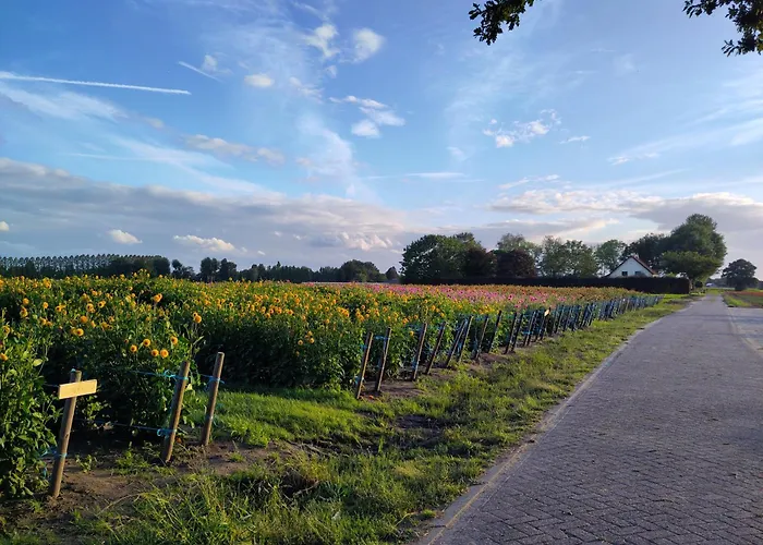 't Voske Panzió Zundert