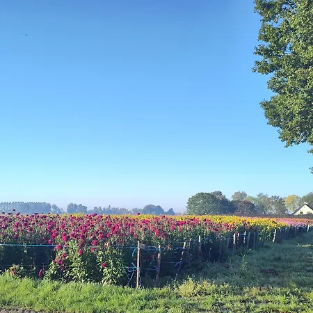 Bed and Breakfast 't Voske 3*