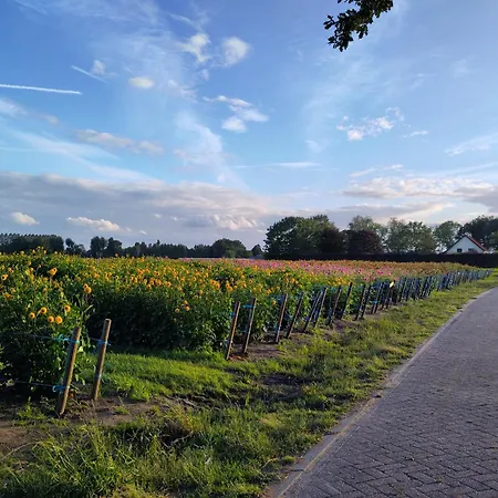 't Voske Bed and Breakfast Zundert